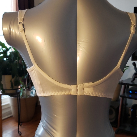 Generic bra - Picture 3 of 5